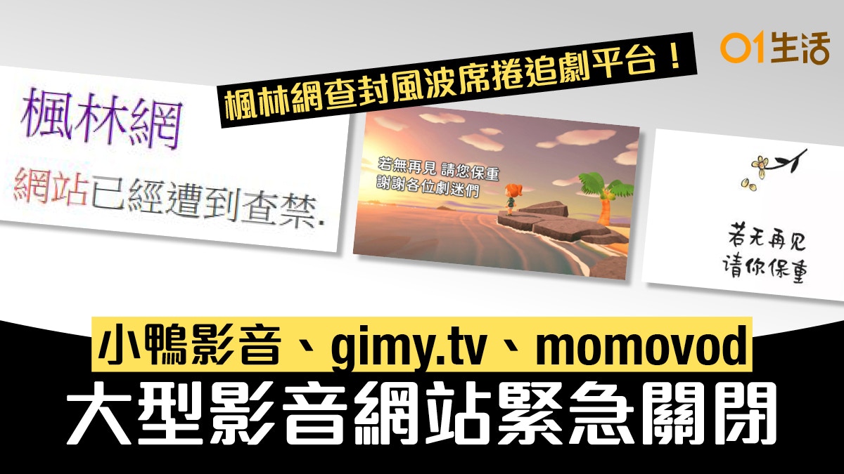 楓林網查封風波 小鴨影音 Gimy Tv Momovod影視網站相繼關閉