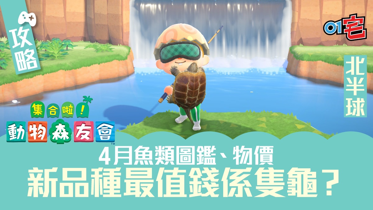 動物之森 動物森友會 攻略 4月魚類圖鑑 物價 擬鱷龜亂入