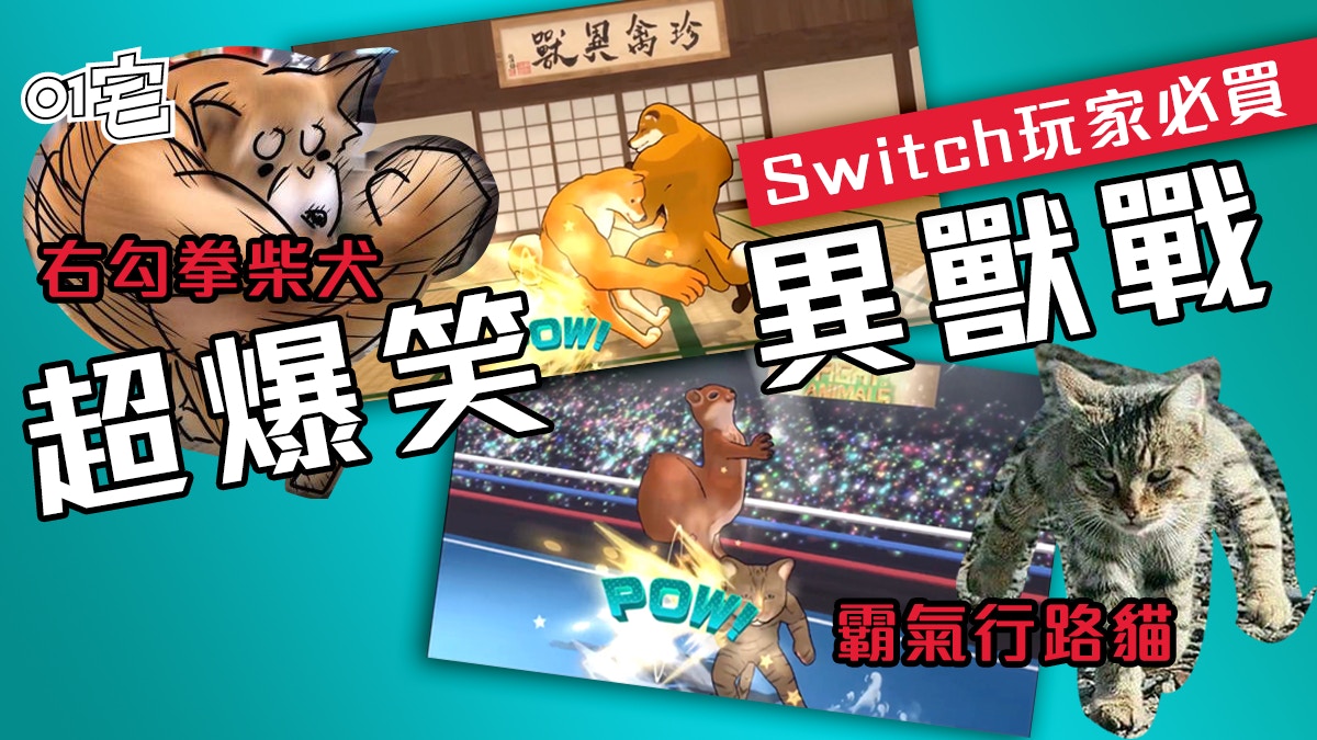 Switch 動物之鬪 右勾拳柴犬vs 肌肉狐狸網路迷因動物大亂鬥