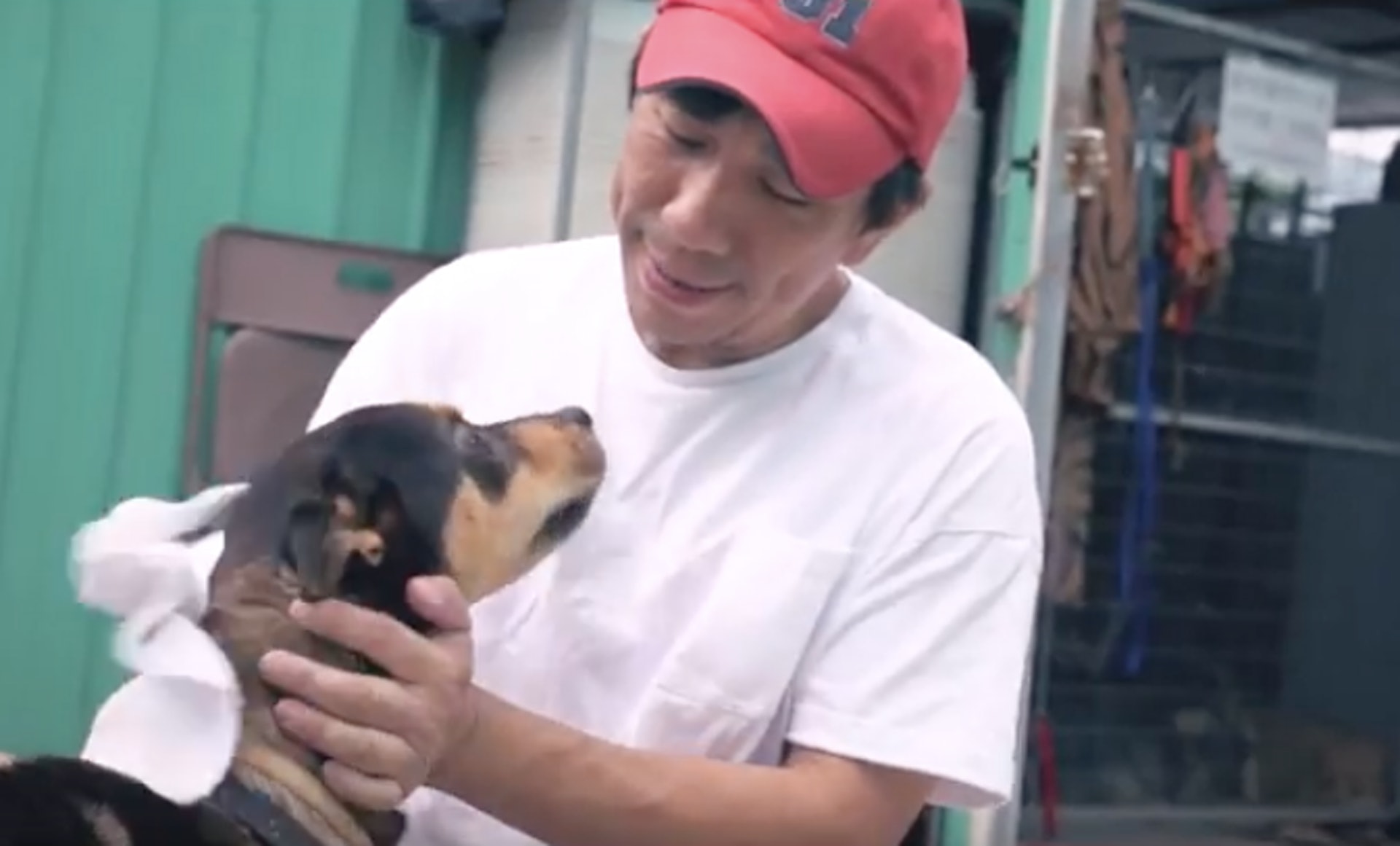 「救一個活一個」Kent Luk(港故仔) 「救一個活一個」Kent Luk(港故仔)