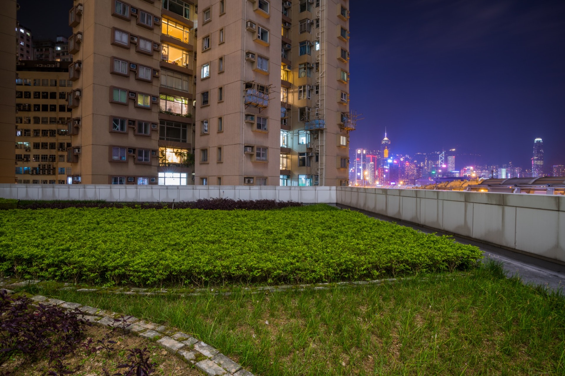 市民可從此天台遠眺維港景色,頗有鬧市中的小花園之感。(李永財提供) 市民可從此天台遠眺維港景色,頗有鬧市中的小花園之感。(李永財提供)