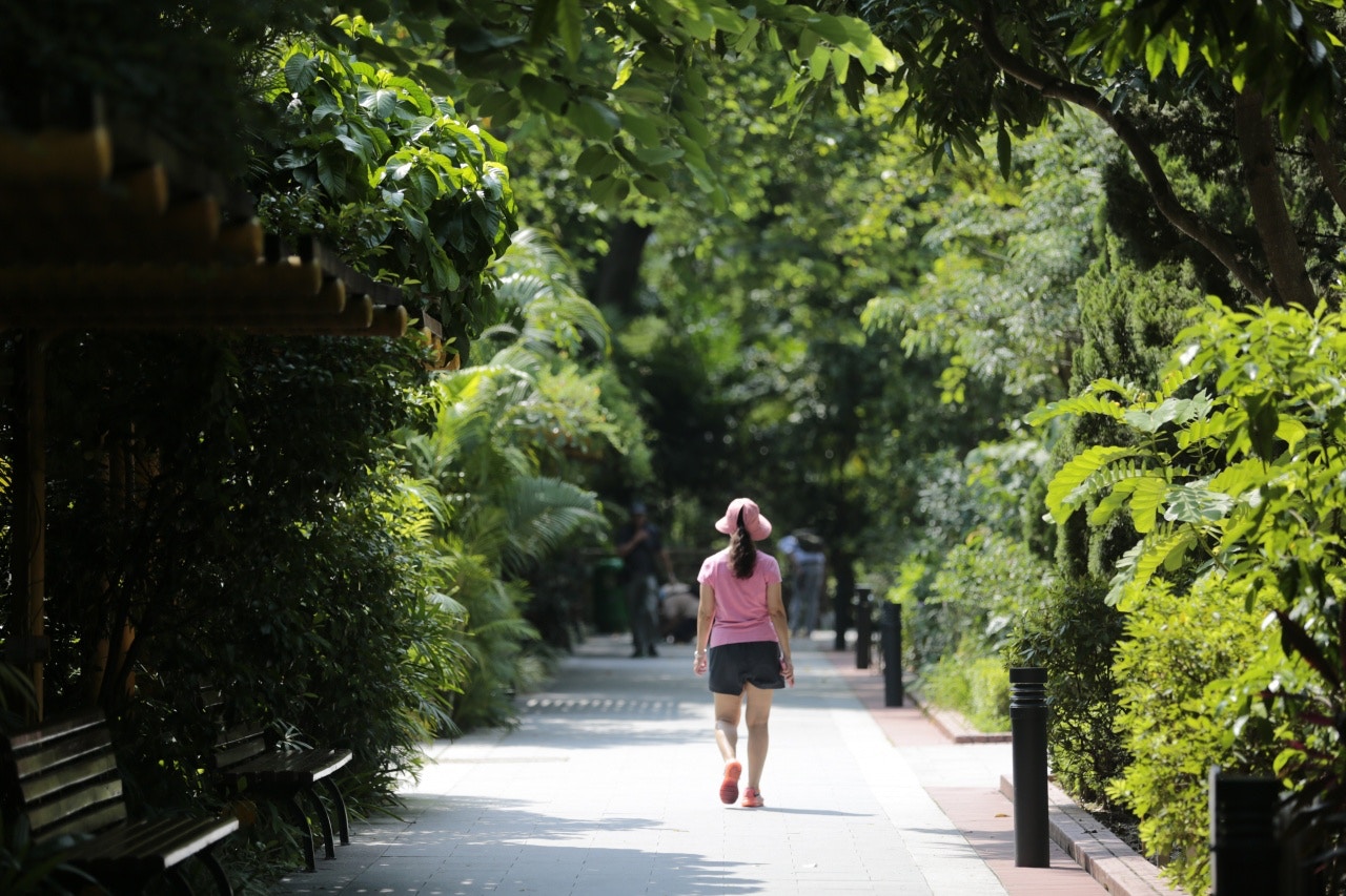 2名登革熱患者都有前往動植物公園習慣。（資料圖片）