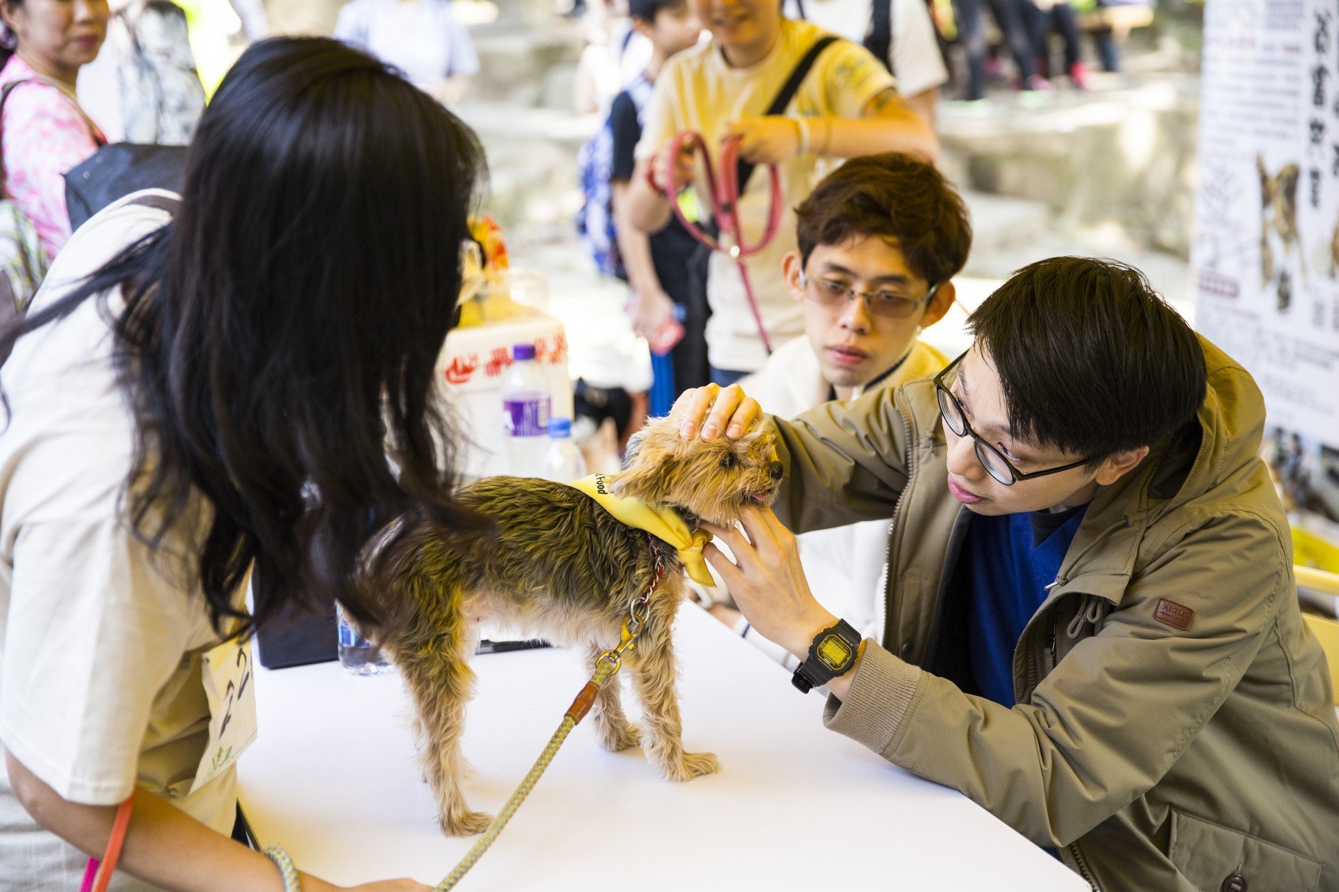 (相片由NPV提供) (相片由NPV提供)