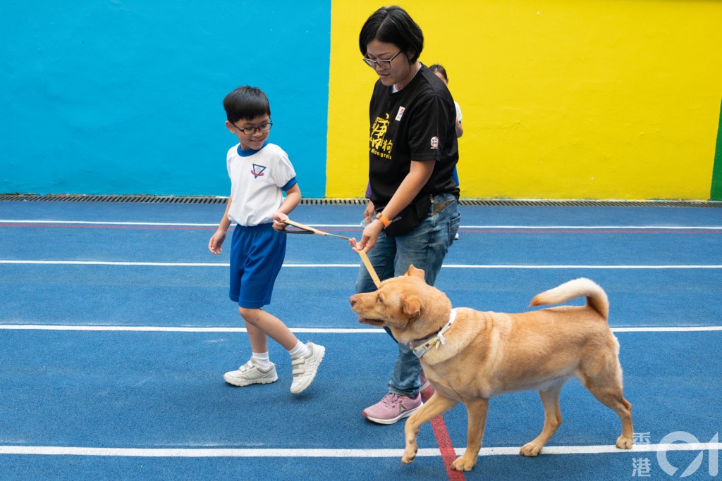 動物醫生 小學生講故事畀狗狗聽有助培養閱讀能力 抗抑鬱