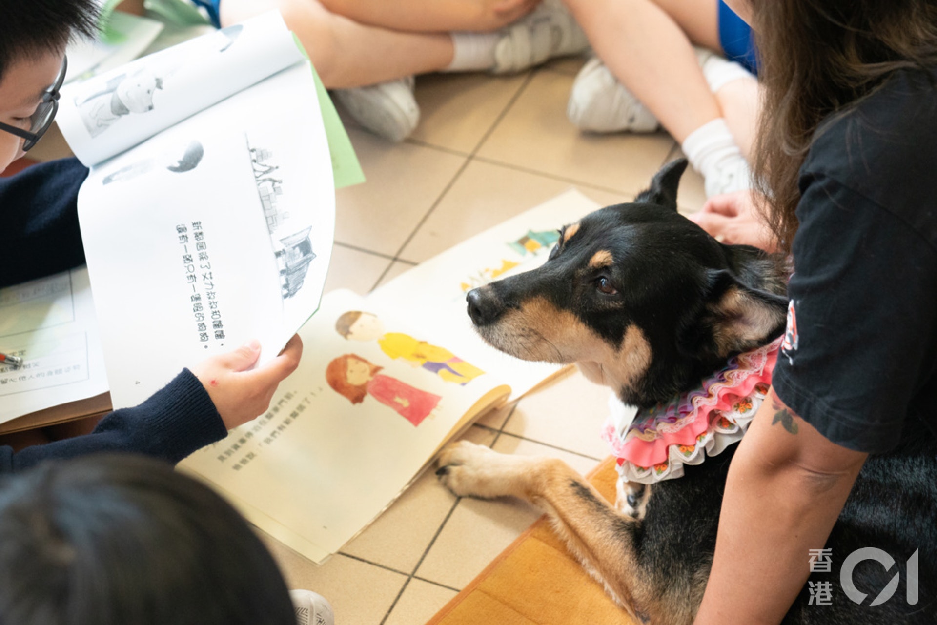 校長黃智華本身是怕狗之人,但深信狗狗能紓緩人的情緒,並希望透過這個三年共十八節的課程,讓小朋友有機會接觸動物,他說:「希望小朋友改變對動物的印象,其次他們見到義工幫助流浪狗,小朋友亦會知道只要努力,將來都會有能力幫助其他人(生命)。」(吳鍾坤攝) 校長黃智華本身是怕狗之人,但深信狗狗能紓緩人的情緒,並希望透過這個三年共十八節的課程,讓小朋友有機會接觸動物,他說:「希望小朋友改變對動物的印象,其次他們見到義工幫助流浪狗,小朋友亦會知道只要努力,將來都會有能力幫助其他人(生命)。」(吳鍾坤攝)
