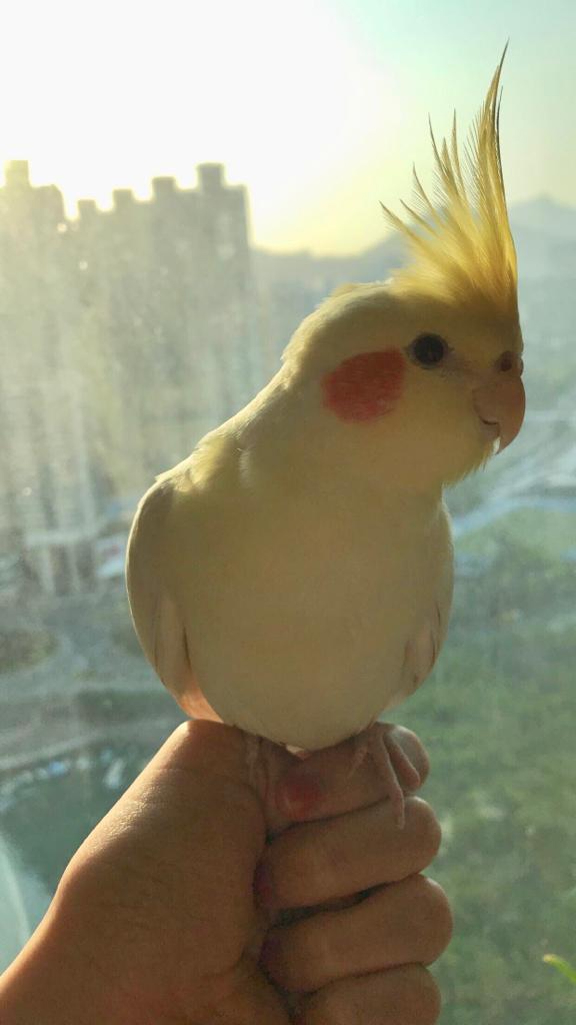 Hailey:「呢張佢笑得好開心......」(相片由受訪者提供) Hailey:「呢張佢笑得好開心......」(相片由受訪者提供)