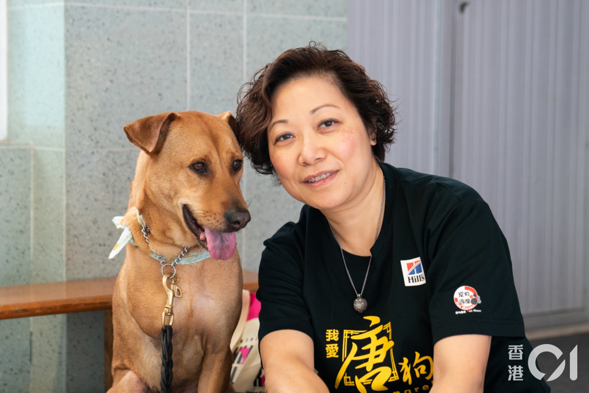 唐狗會創辦人顏綺苓帶治療犬「的士黃」探訪過隱青和獨居長者,希望能與狗狗一起貢獻社會。(吳鍾坤攝) 唐狗會創辦人顏綺苓帶治療犬「的士黃」探訪過隱青和獨居長者,希望能與狗狗一起貢獻社會。(吳鍾坤攝)