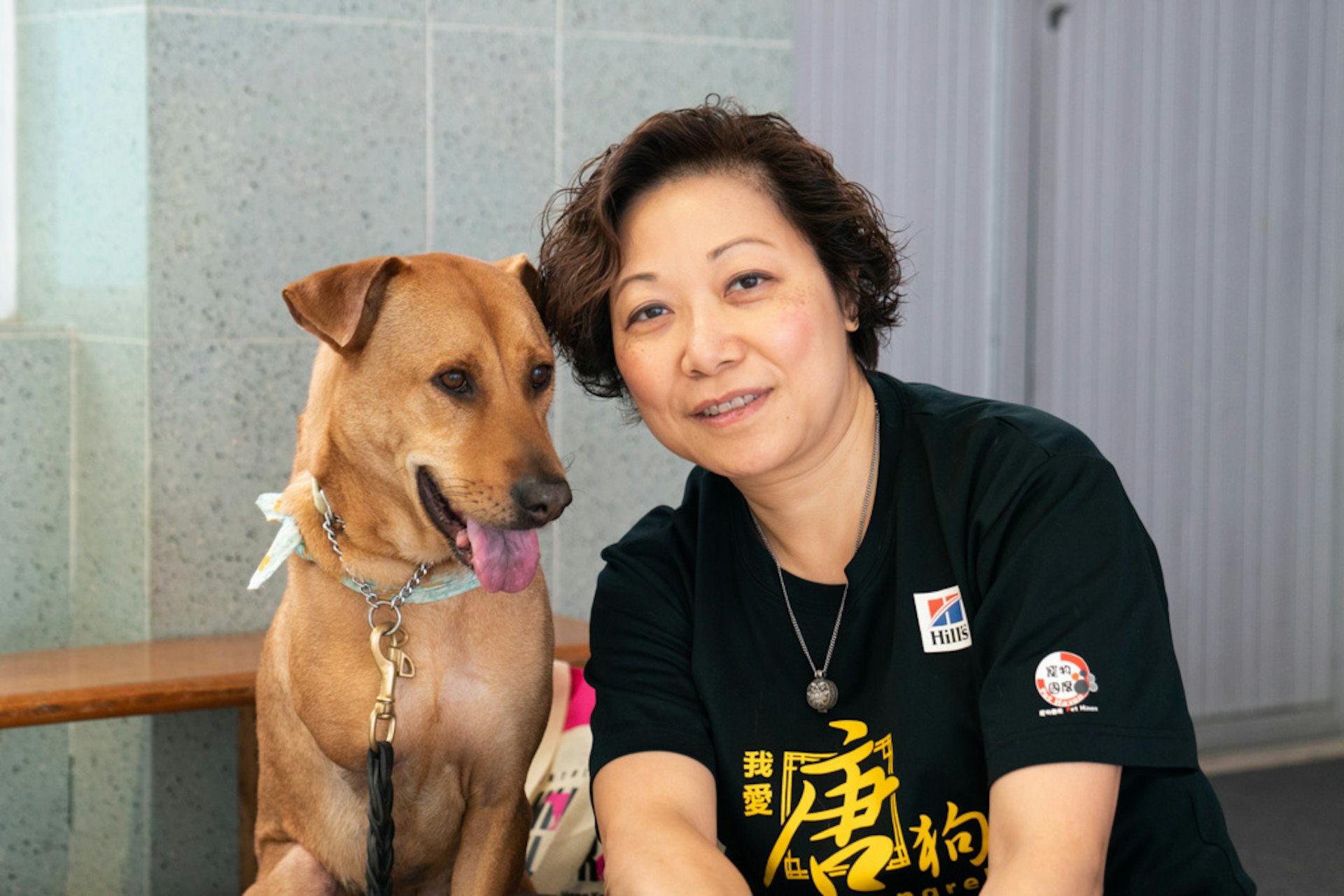 唐狗會創辦人顏綺苓帶治療犬「的士黃」探訪過隱青和獨居長者,希望能與狗狗一起貢獻社會。(吳鍾坤攝) 唐狗會創辦人顏綺苓帶治療犬「的士黃」探訪過隱青和獨居長者,希望能與狗狗一起貢獻社會。(吳鍾坤攝)