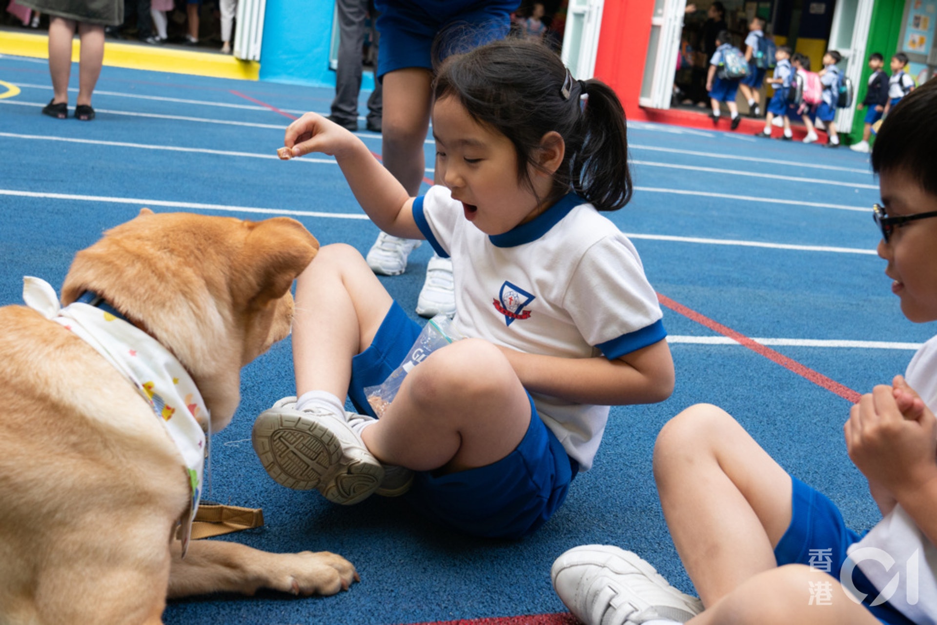 唐狗會創辦人顏綺苓說:「唐狗的社會地位比較基層,即是沒有人會買牠、喜歡牠。大家只喜歡名種狗,覺得唐狗好惡、不夠優秀,所以希望多點帶牠們出來接觸人。」(吳鍾坤) 唐狗會創辦人顏綺苓說:「唐狗的社會地位比較基層,即是沒有人會買牠、喜歡牠。大家只喜歡名種狗,覺得唐狗好惡、不夠優秀,所以希望多點帶牠們出來接觸人。」(吳鍾坤)