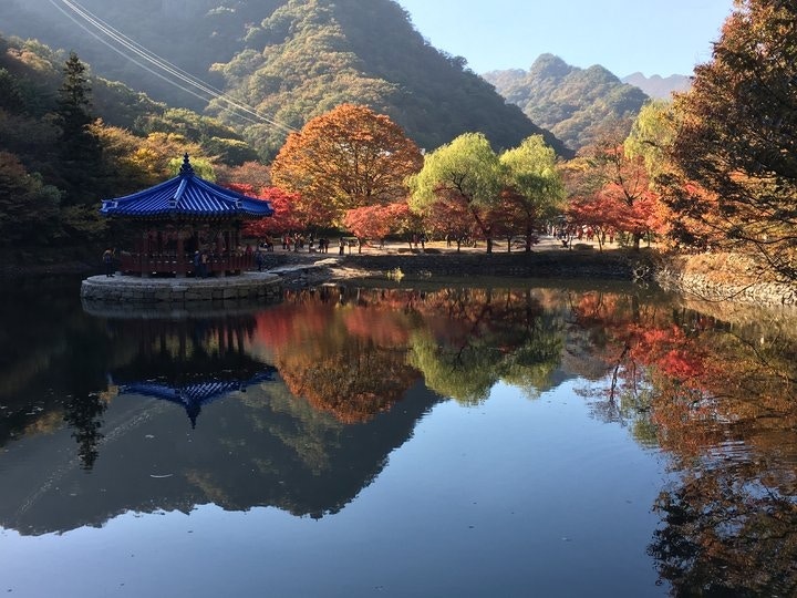 韓國紅葉 內藏山飽覽最美楓紅隧道兼試阿珠媽炸人蔘煎餅