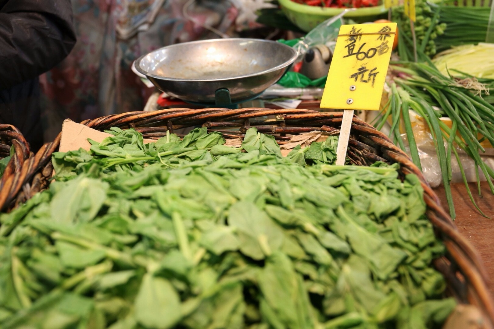 寒流到 農作物失收豆苗60蚊斤 香港01 社會新聞