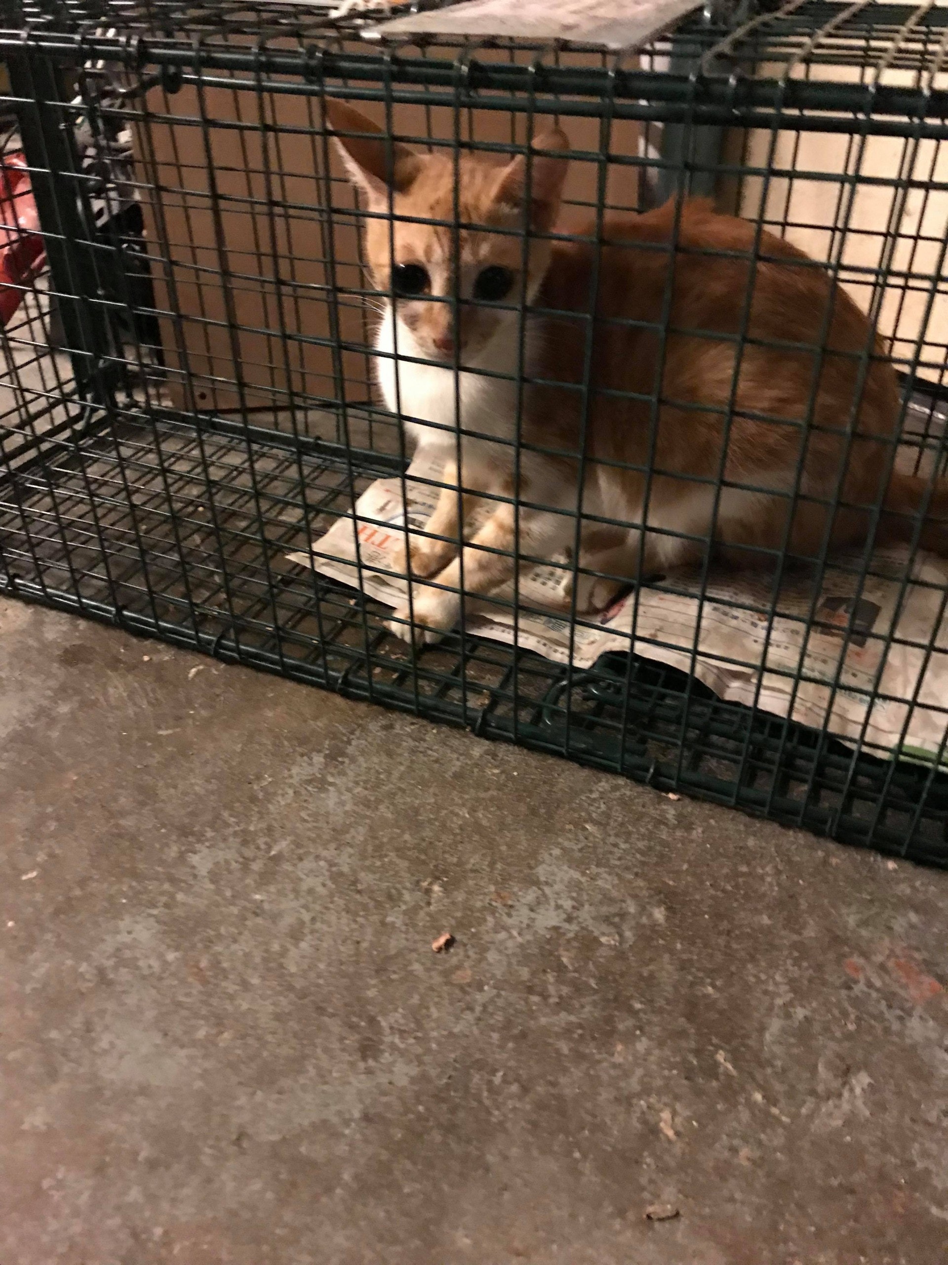 (相片由受訪者提供) (相片由受訪者提供)