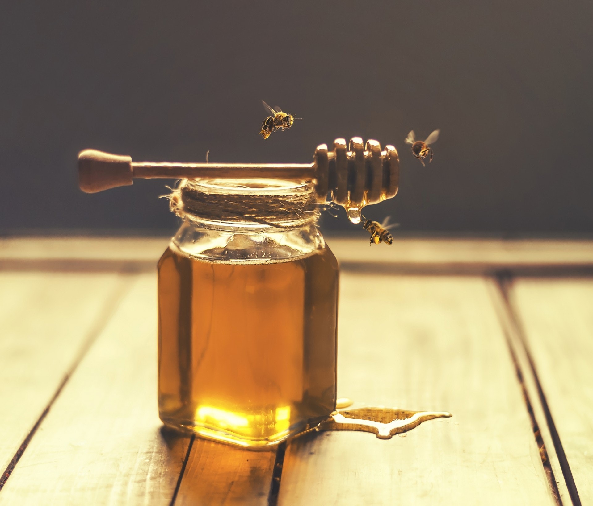 蜂蜜是人類的第一道甜品(VCG) 蜂蜜是人類的第一道甜品(VCG)