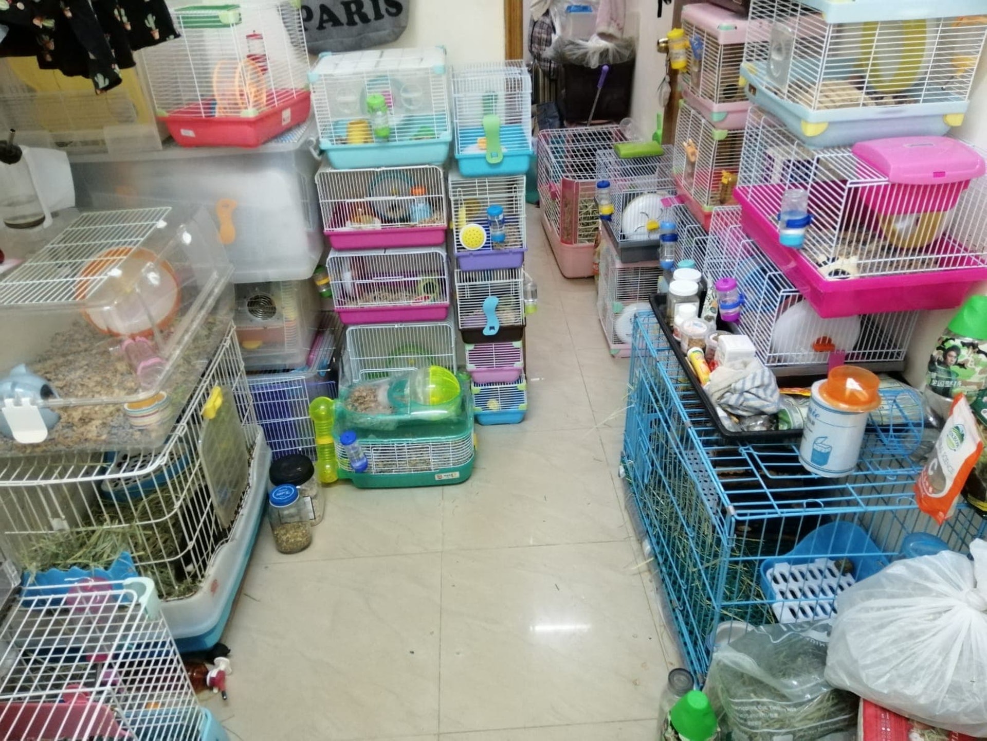 中途站滿佈寵物籠。(相片由受訪者提供) 中途站滿佈寵物籠。(相片由受訪者提供)