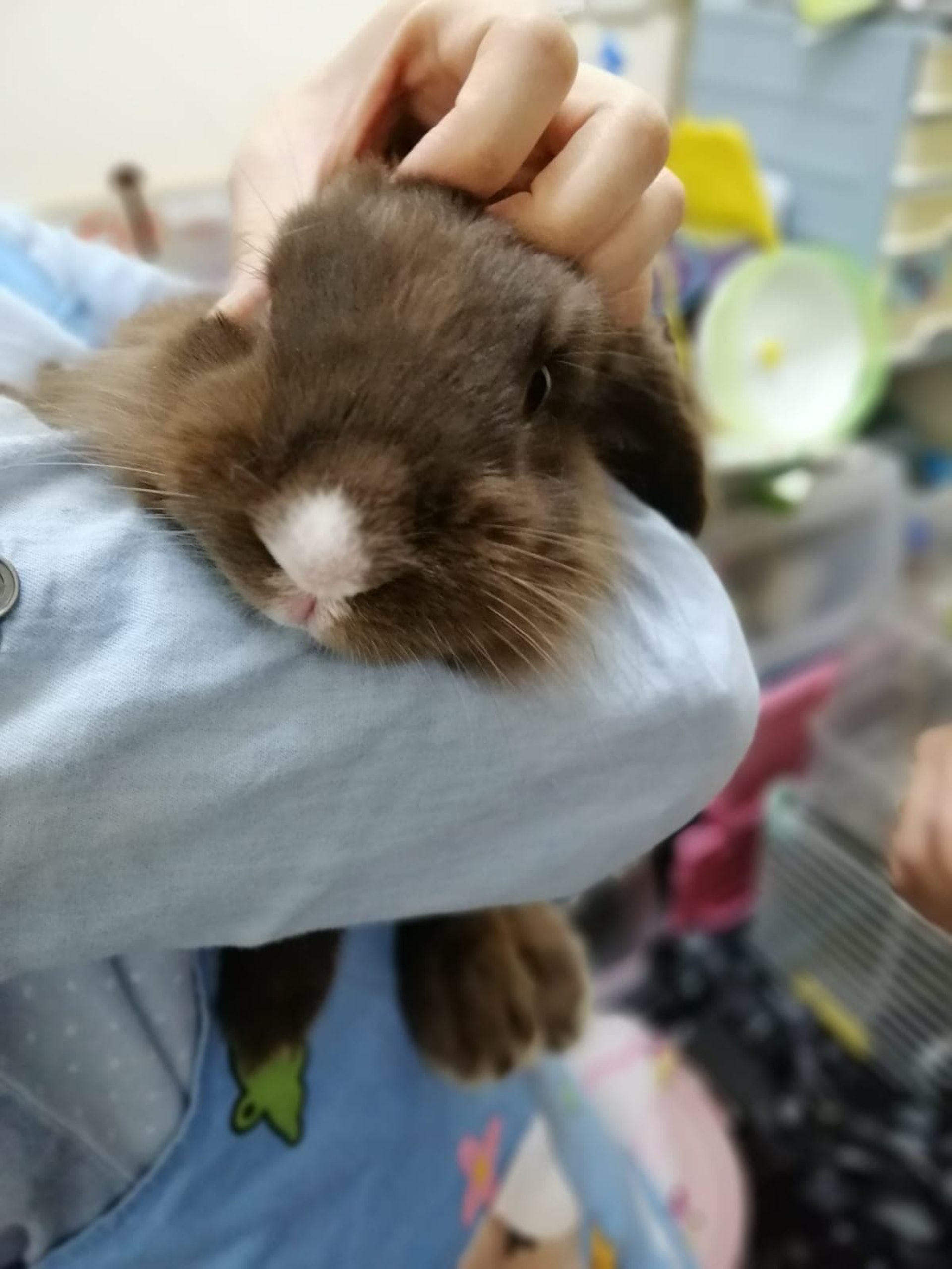 (相片由受訪者提供) (相片由受訪者提供)