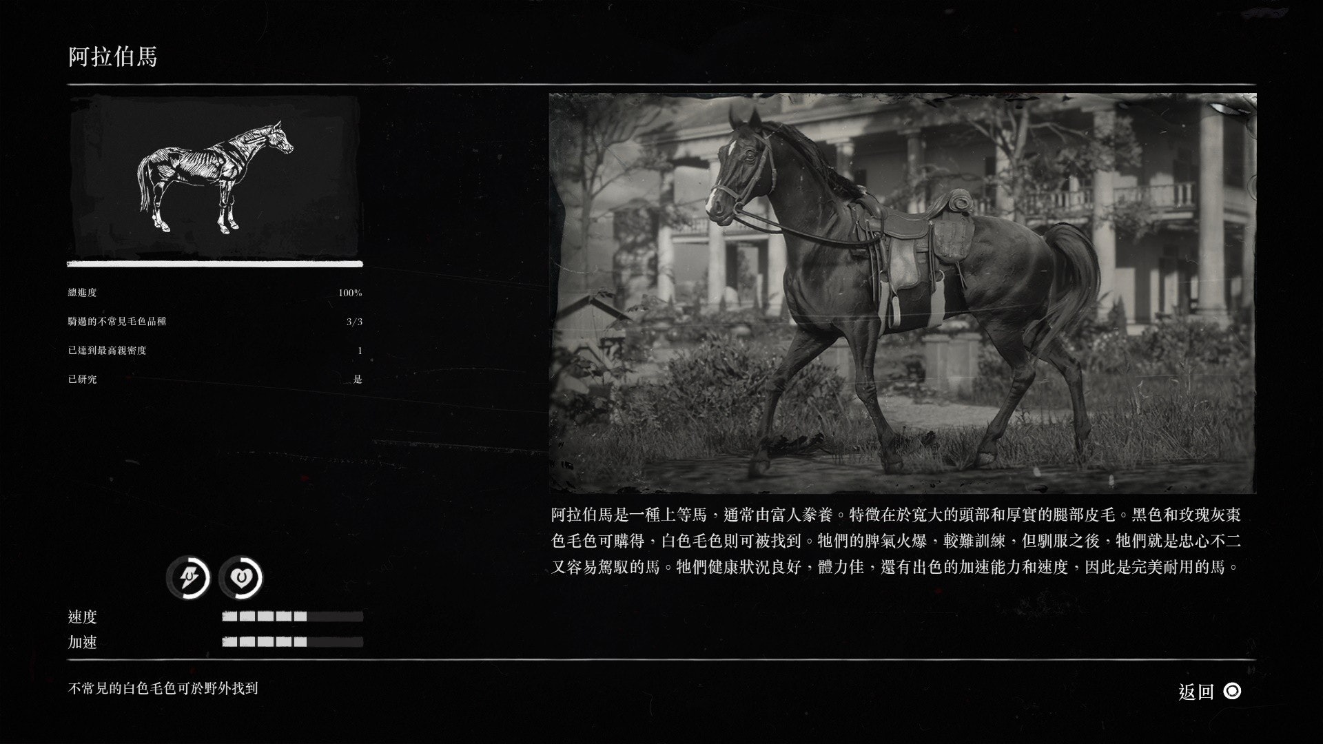 Red Dead Redemption 2碧血狂殺2取最強3大阿拉伯馬 Red Dead Redemption 2碧血狂殺2取最強3大阿拉伯馬