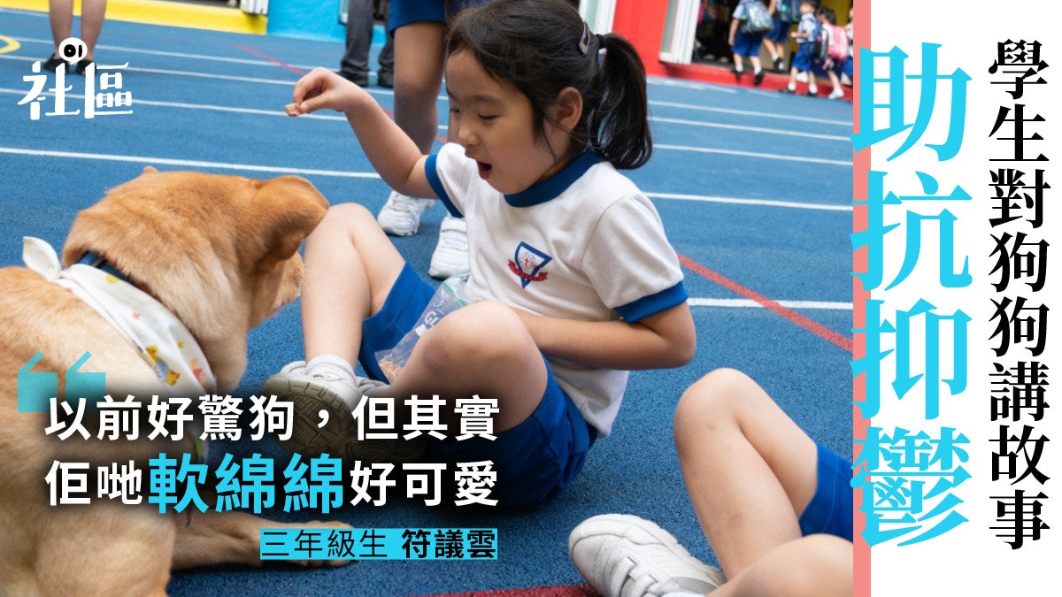 動物醫生 小學生講故事畀狗狗聽有助培養閱讀能力 抗抑鬱 動物醫生 小學生講故事畀狗狗聽有助培養閱讀能力 抗抑鬱