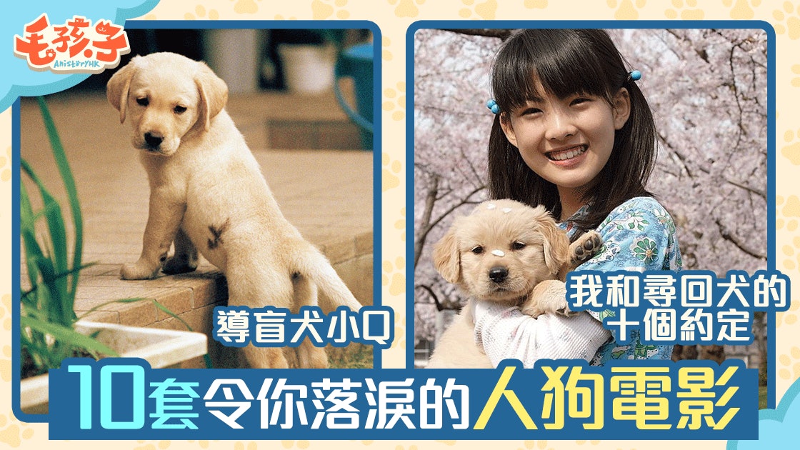 10套最感動的人狗電影 終極眼濕濕之選