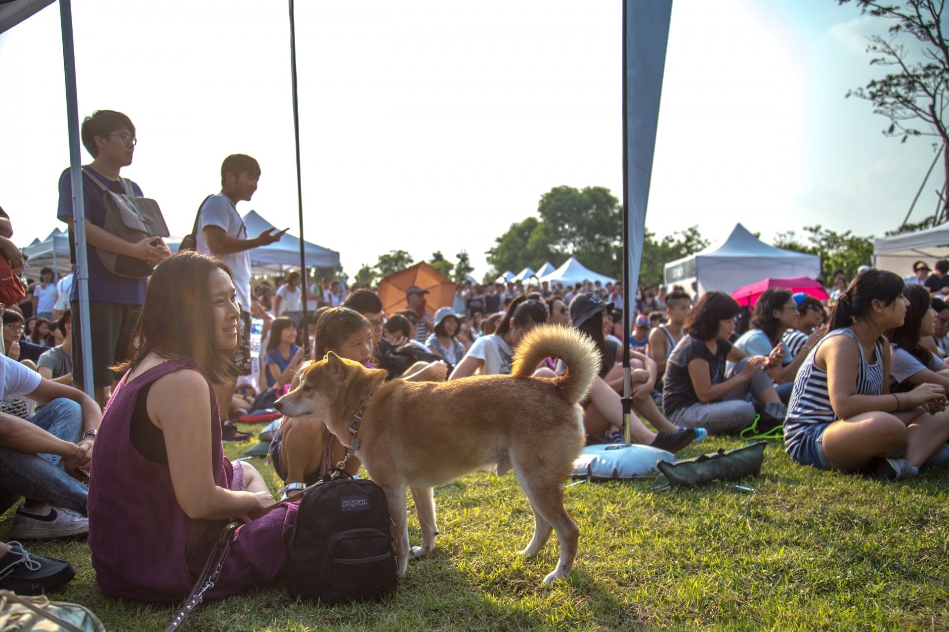 西九文化區也讓狗進入。(資料圖片) 西九文化區也讓狗進入。(資料圖片)