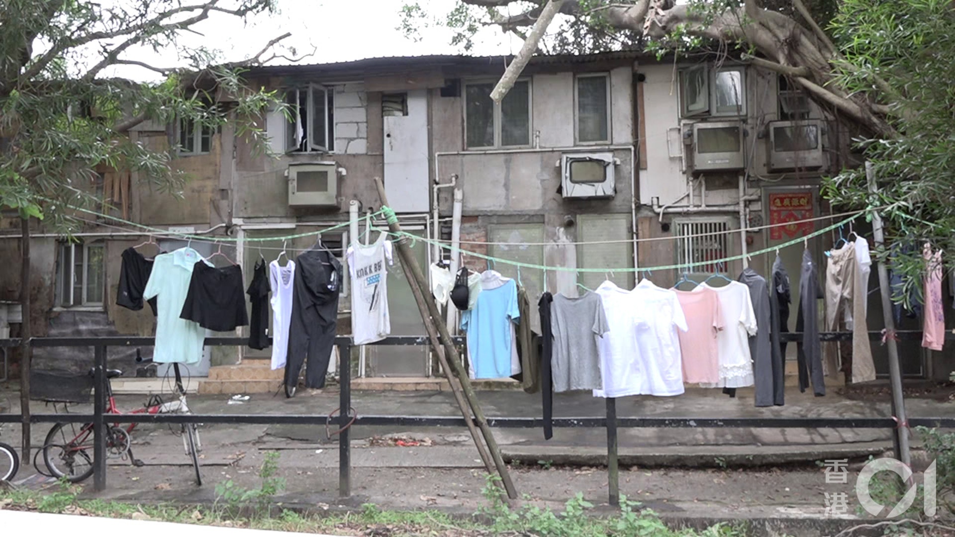 樓奴 專上學院前講師購8間非法寮屋地租客 一晚捉12隻老鼠 香港01 01偵查 樓奴 專上學院前講師購8間非法寮屋地租客 一晚捉12隻老鼠 香港01 01偵查