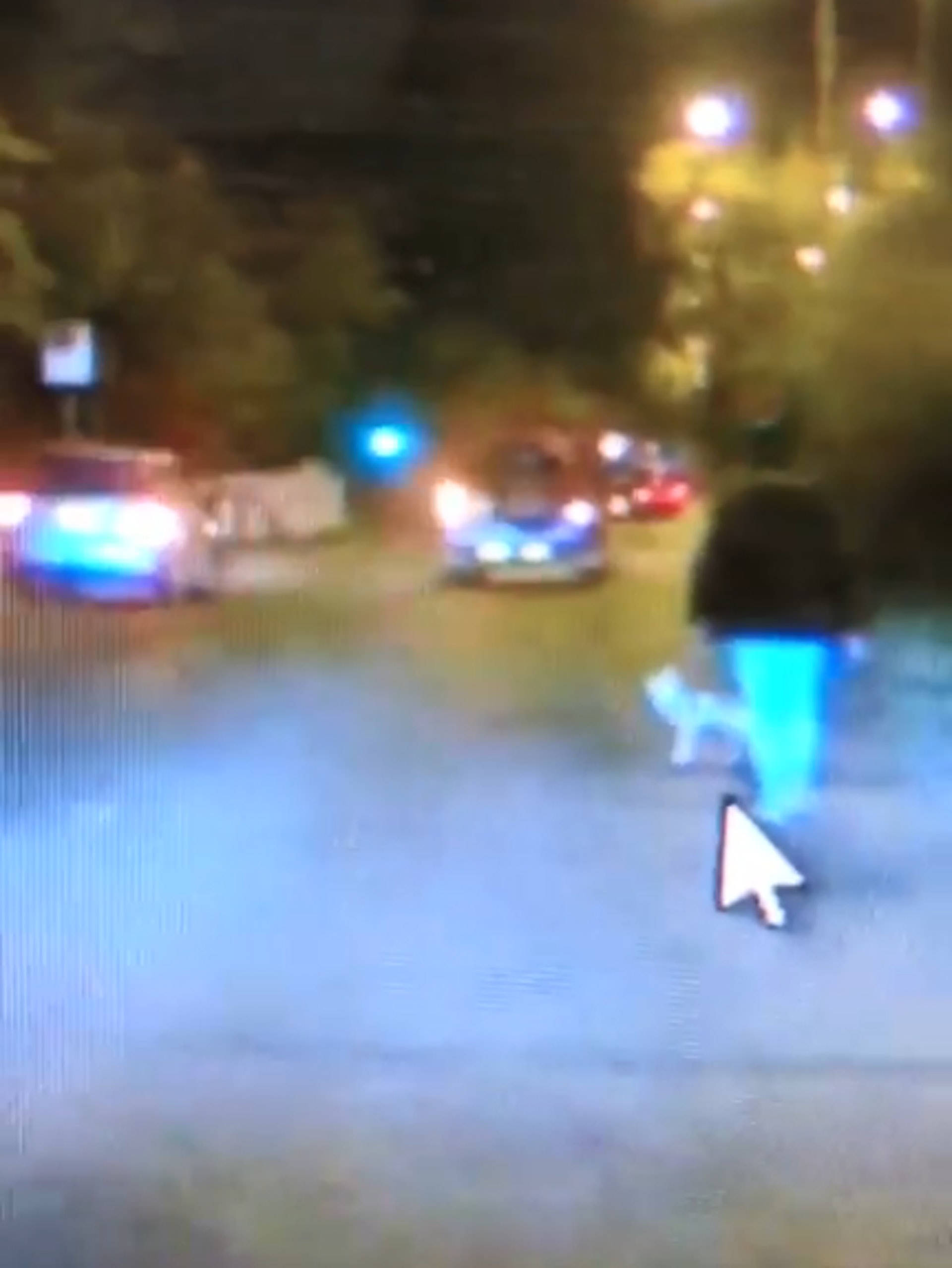 行車記錄儀中可以看到Coffee被身穿黑外套紅色上衣的男子帶走。(影片截圖) 行車記錄儀中可以看到Coffee被身穿黑外套紅色上衣的男子帶走。(影片截圖)