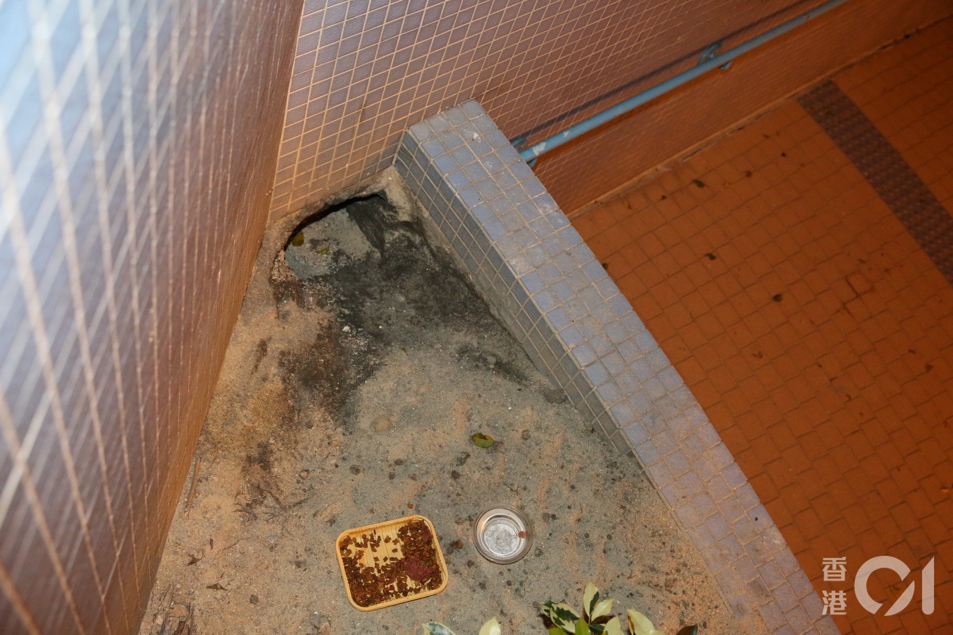 香港01記者晚上到上址了解,發現封窿的沙石已被挖走。(王譯揚攝) 香港01記者晚上到上址了解,發現封窿的沙石已被挖走。(王譯揚攝)