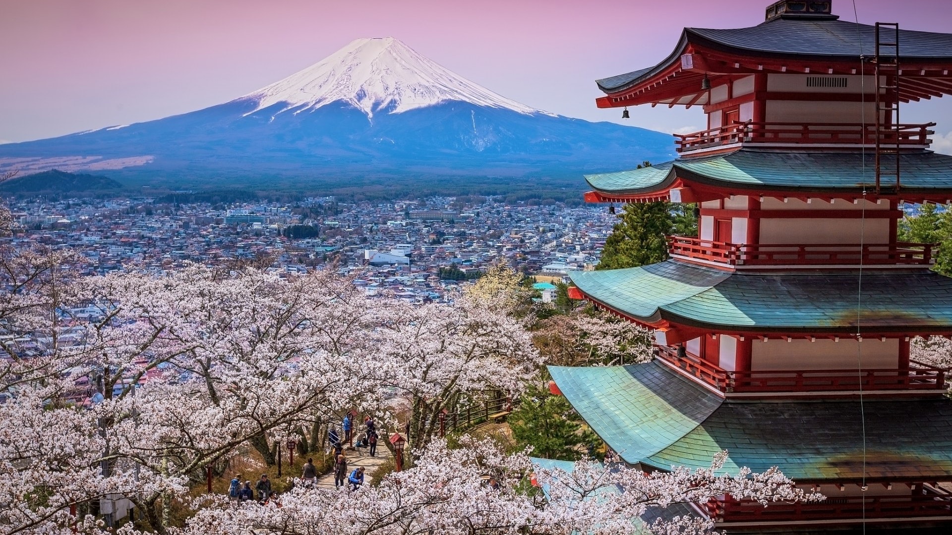 Jr東日本新增特快列車2019年3月起從東京新宿直達富士山 香港01 世界專題