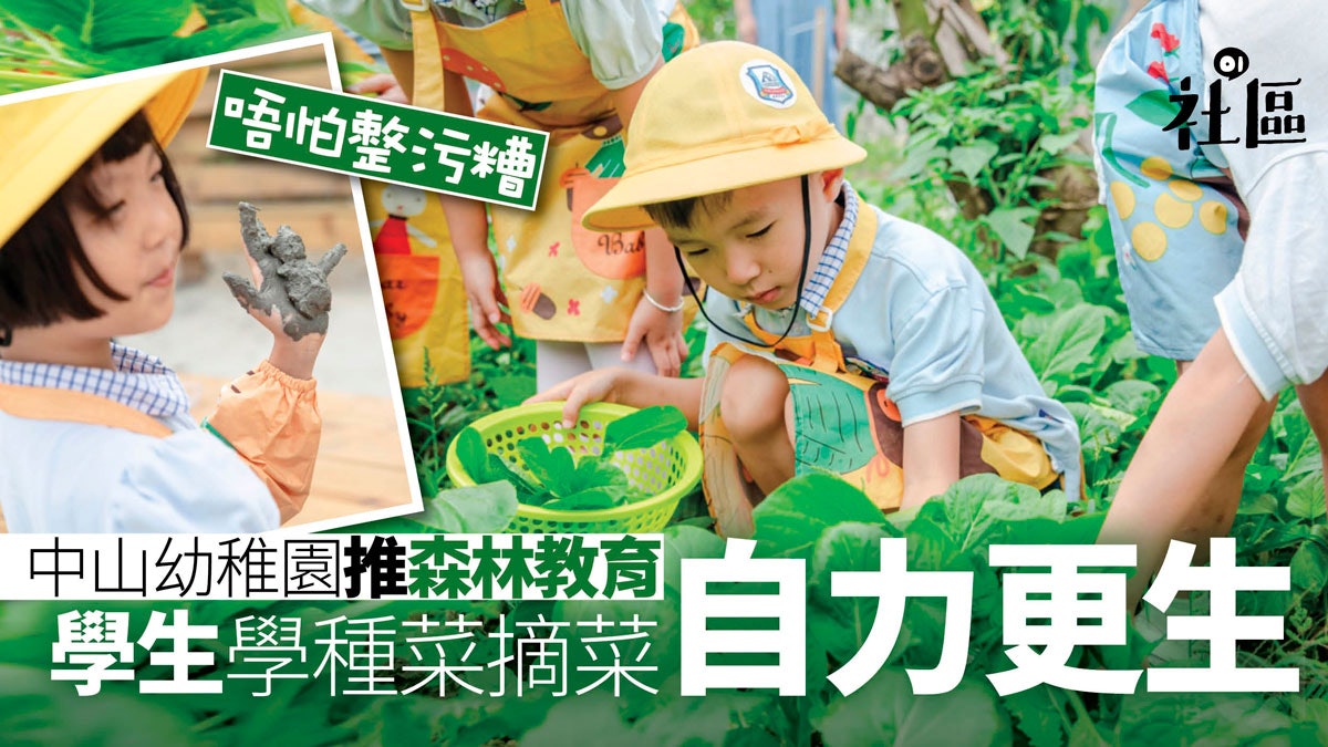【透視大灣區.圖輯】 中山幼稚園推森林教育 教幼兒爬樹捉蟲 【透視大灣區.圖輯】 中山幼稚園推森林教育 教幼兒爬樹捉蟲