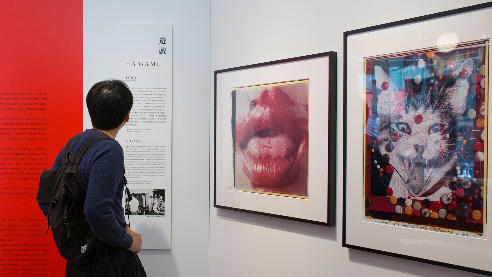 【讀者來相】「京都國際寫真祭」移植東京　深瀨昌久經典作品再賞