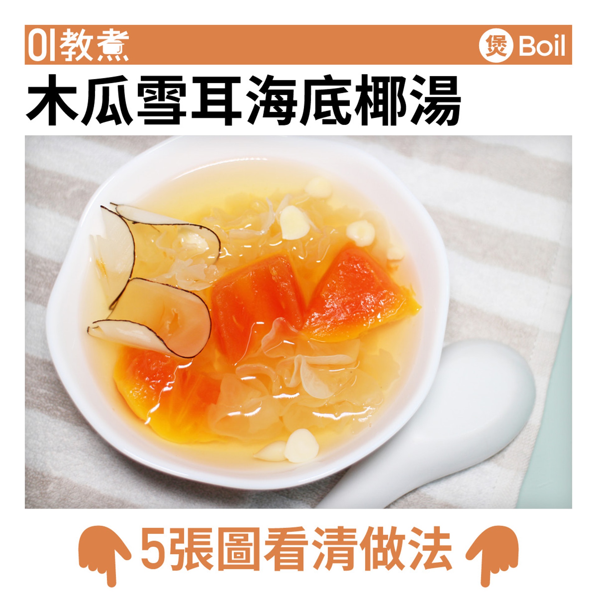木瓜雪耳海底椰湯食譜 木瓜雪耳海底椰湯食譜