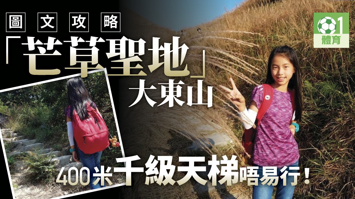 【大東山路線】伯公坳登頂睇芒草攻略 回程落梅窩更易搭車走 【大東山路線】伯公坳登頂睇芒草攻略 回程落梅窩更易搭車走