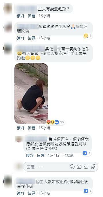 (Facebook截圖) (Facebook截圖)