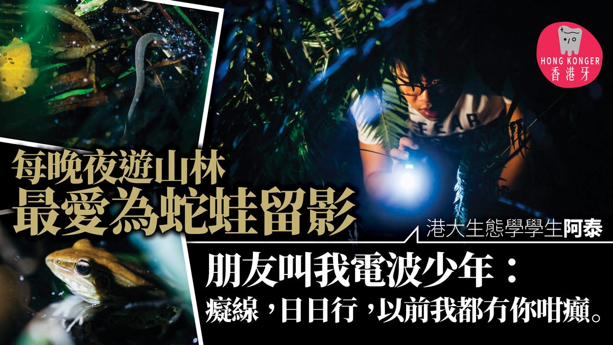 【香港牙】每晚行夜山　少年的PokémonGo圖鑑：青蛙和蛇改變了我