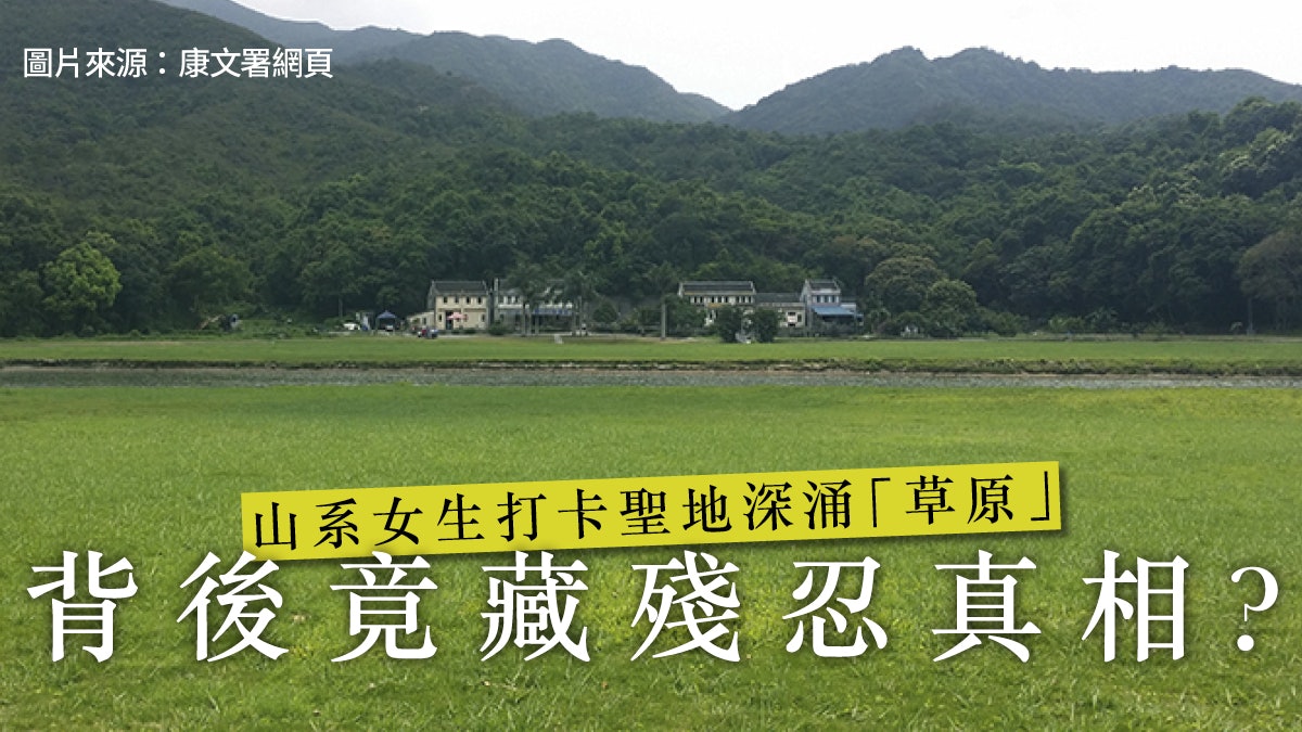 沙羅洞失九成濕地只因政府迷信公私合營 香港01 01觀點 沙羅洞失九成濕地只因政府迷信公私合營 香港01 01觀點