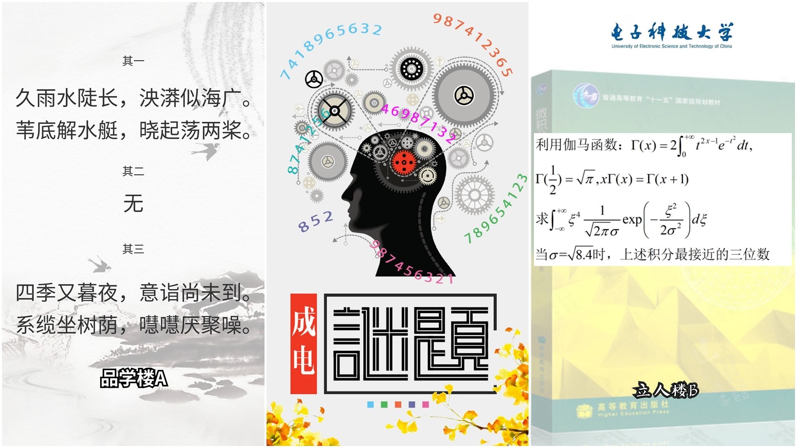 成都高校微博推燒腦謎題涉微積分、莎翁十四行詩　掀全校尋寶潮