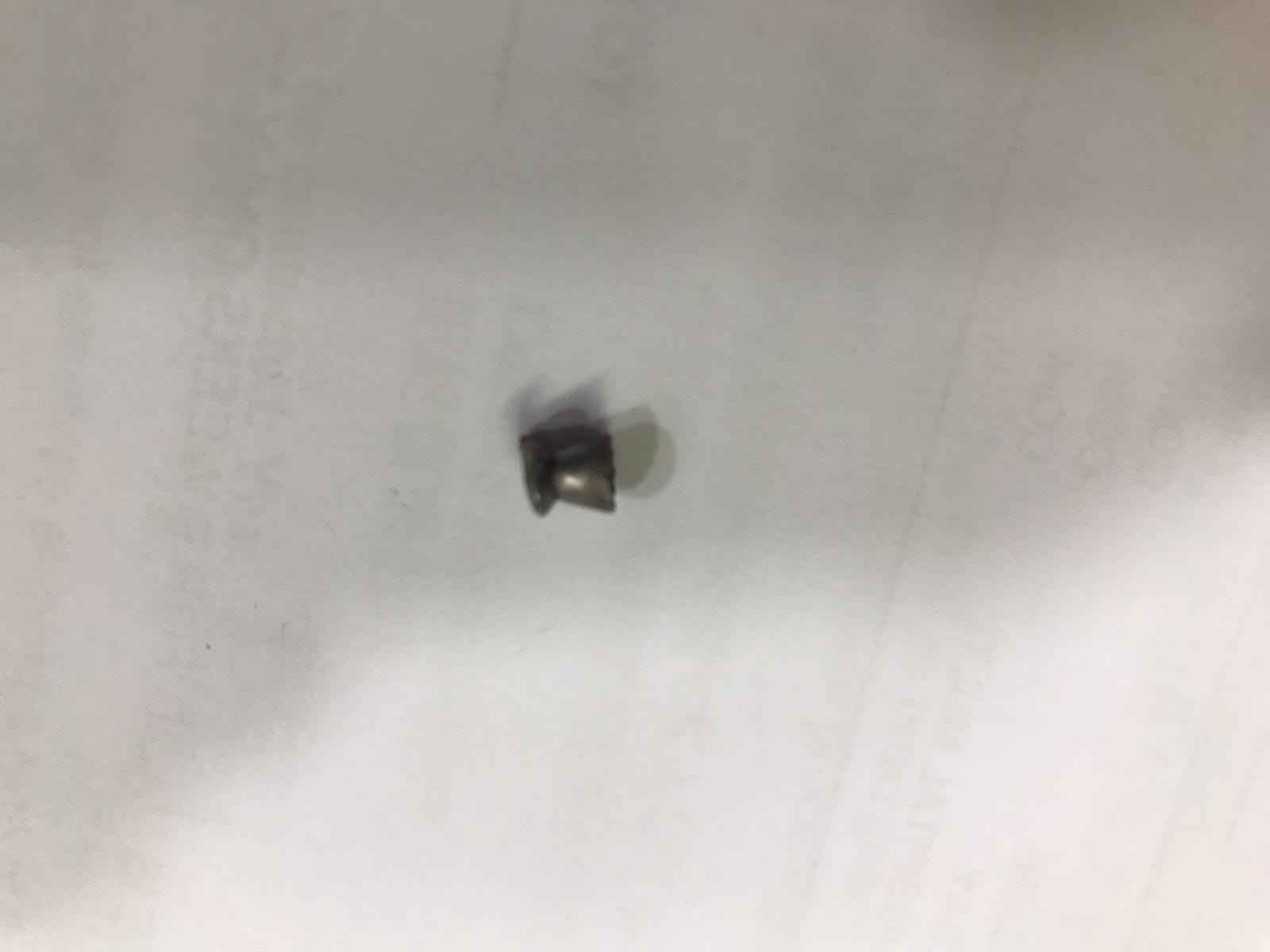 獸醫從小貓體內取出的鐵彈。(受訪者提供) 獸醫從小貓體內取出的鐵彈。(受訪者提供)