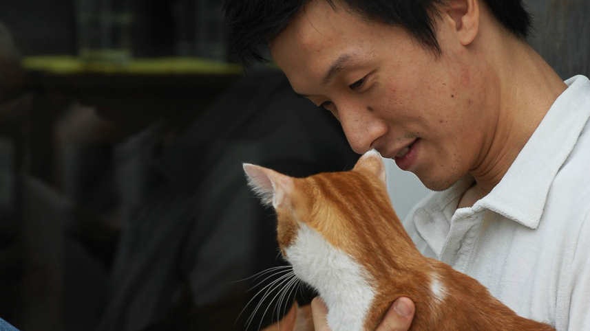 傳心師 傳心思 傳心師傳達臨終心聲貓咪留給最愛的說話 傳心師 傳心思 傳心師傳達臨終心聲貓咪留給最愛的說話