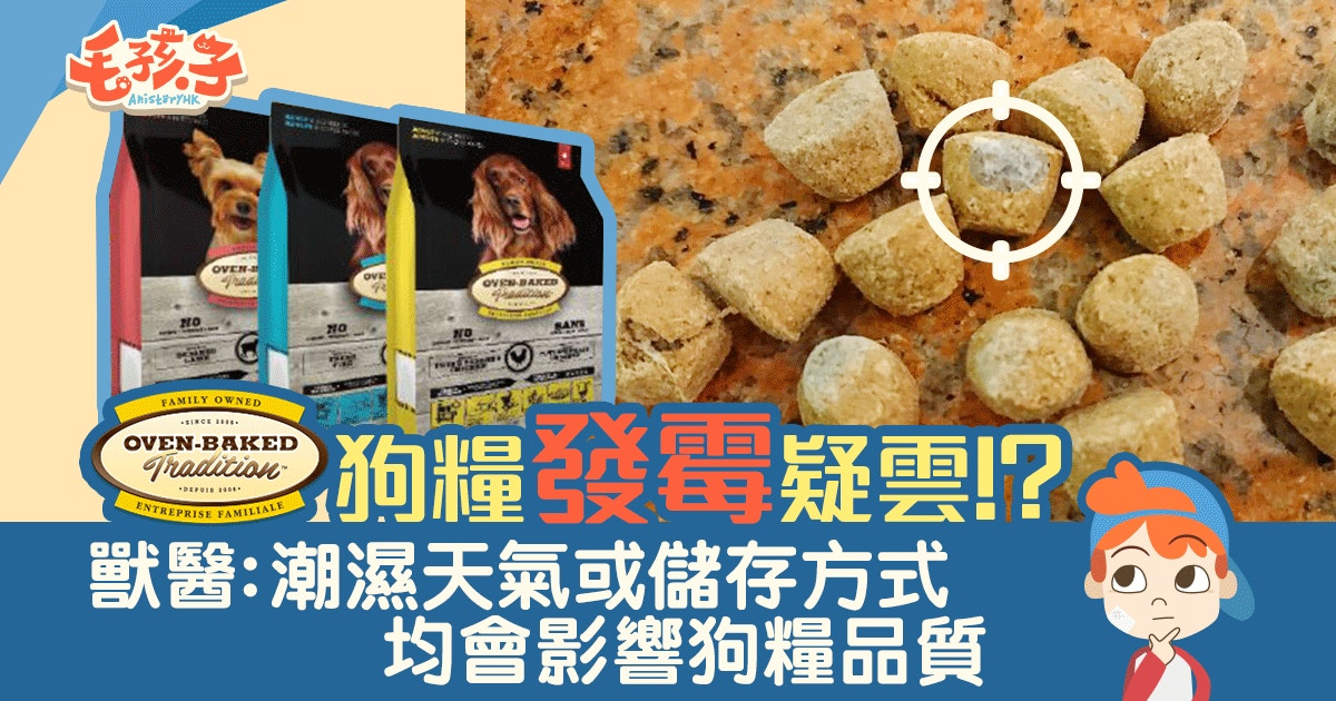 OVEN-BAKED狗糧驚現發霉情況？　獸醫解畫潮濕天氣會影響狗糧品質