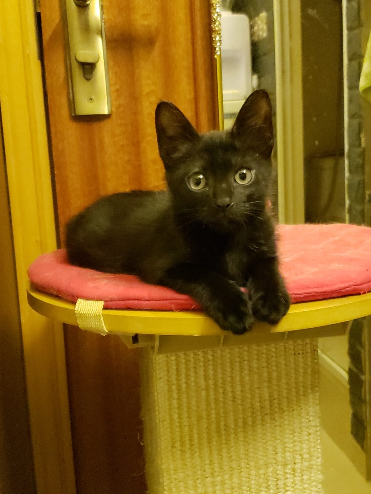 這是「」。(受訪者提供) 這是「」。(受訪者提供)