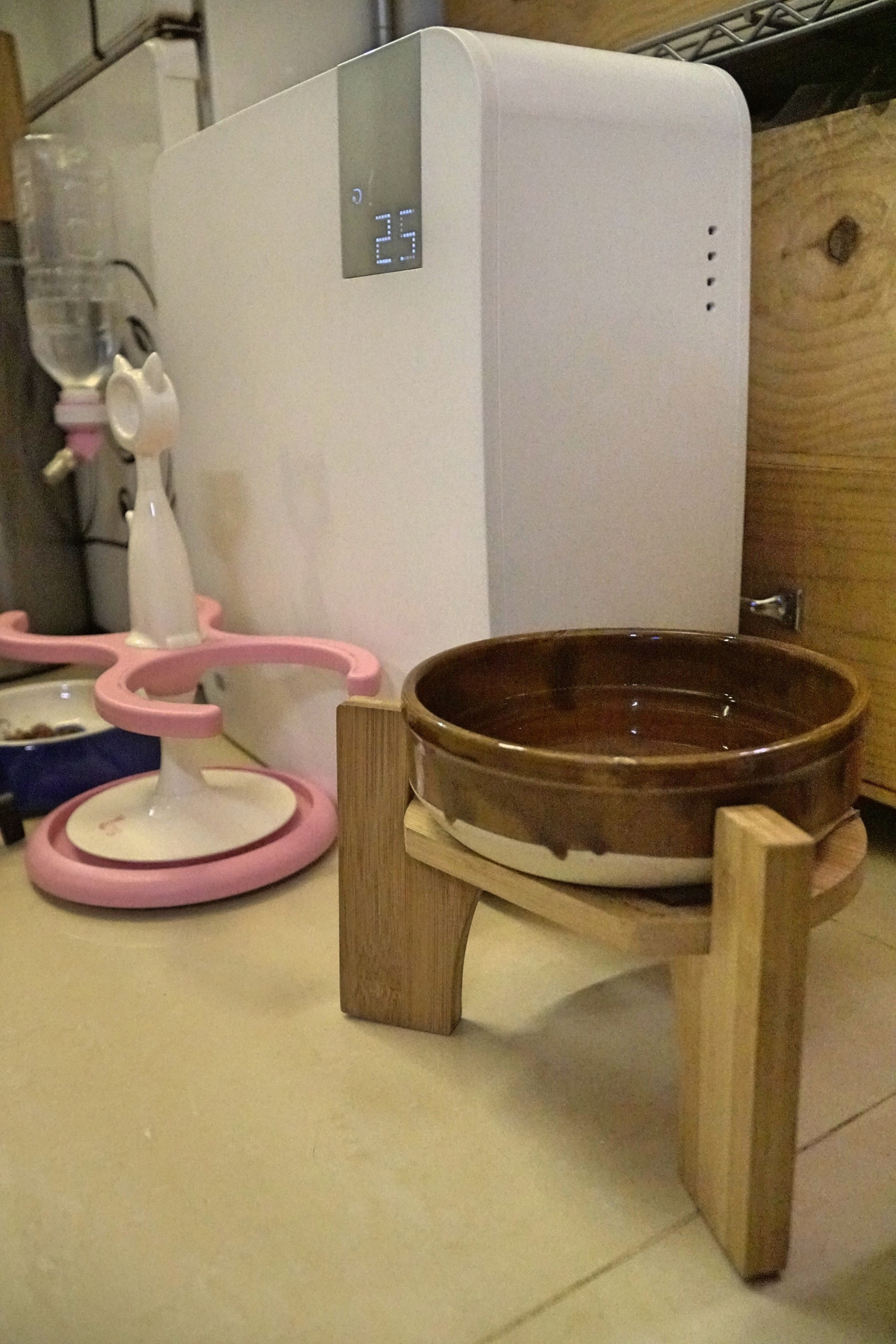 每隻貓貓均有自己的食物碗,而背後的空氣清新機也是為貓貓著想而購入,佔據了客廳不少空間。(吳嘉俊攝) 每隻貓貓均有自己的食物碗,而背後的空氣清新機也是為貓貓著想而購入,佔據了客廳不少空間。(吳嘉俊攝)