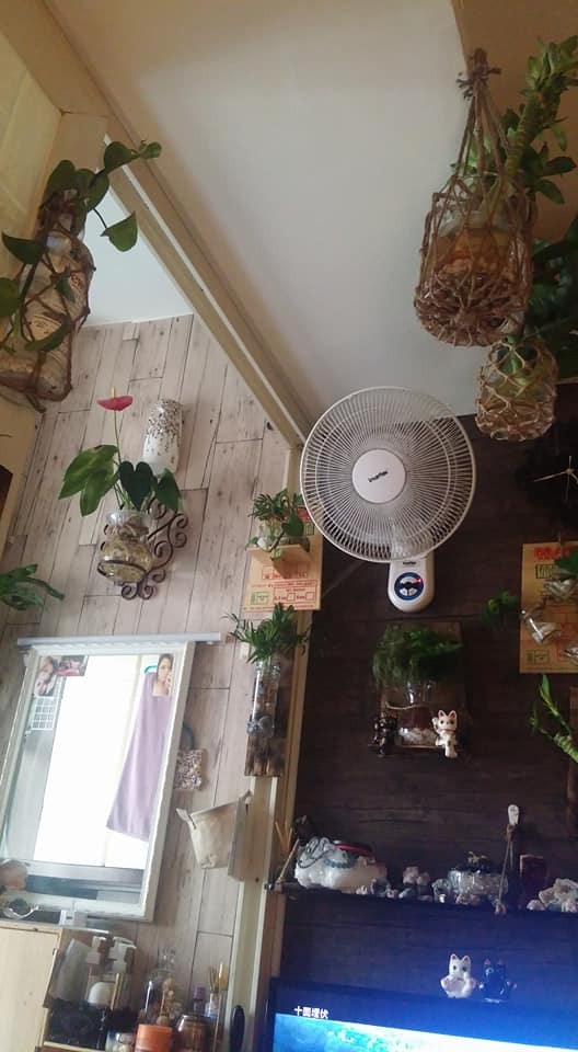 業主眼見Winnie的家很乾淨且無異味,決定允許她繼續養貓。(受訪者提供) 業主眼見Winnie的家很乾淨且無異味,決定允許她繼續養貓。(受訪者提供)