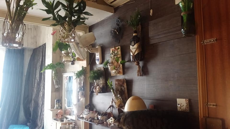 業主眼見Winnie的家很乾淨且無異味,決定允許她繼續養貓。(受訪者提供) 業主眼見Winnie的家很乾淨且無異味,決定允許她繼續養貓。(受訪者提供)