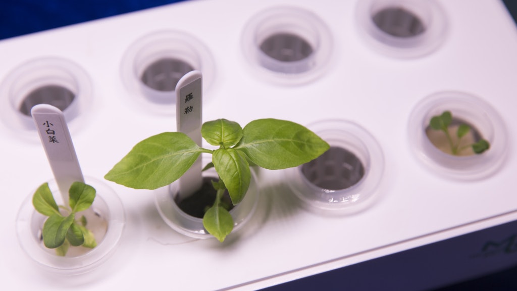 家居種稙 水耕種植糅合科技窩居中親手栽種一口靚菜 香港01 社區專題 家居種稙 水耕種植糅合科技窩居中親手栽種一口靚菜 香港01 社區專題