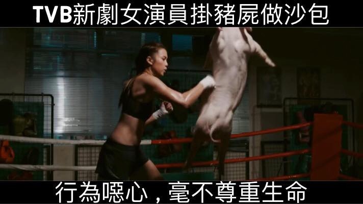 《救救港豬 Hong Kong Pig Save》團體於facebook出post公開指責。(fb圖片) 《救救港豬 Hong Kong Pig Save》團體於facebook出post公開指責。(fb圖片)