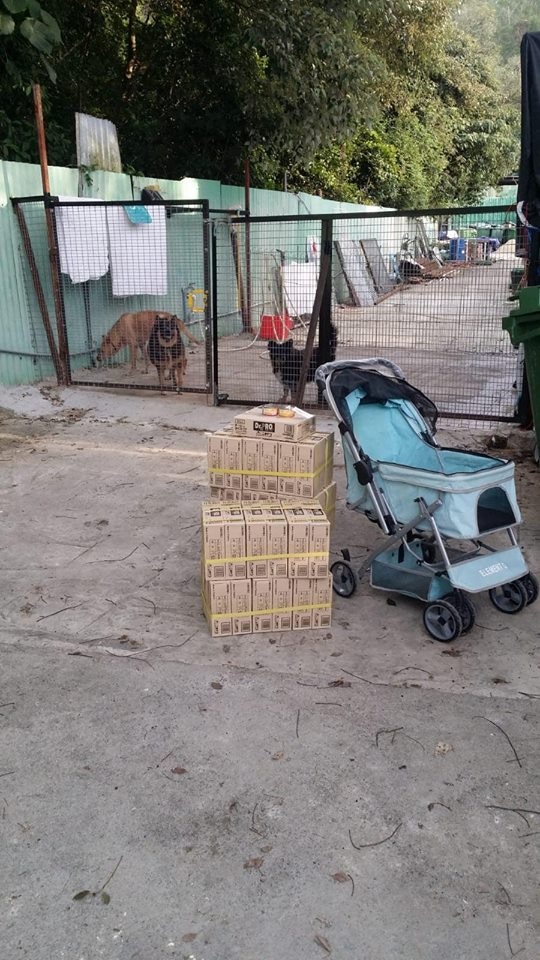 其中一個受惠的狗場。(Facebook@沙律貓狗之家) 其中一個受惠的狗場。(Facebook@沙律貓狗之家)