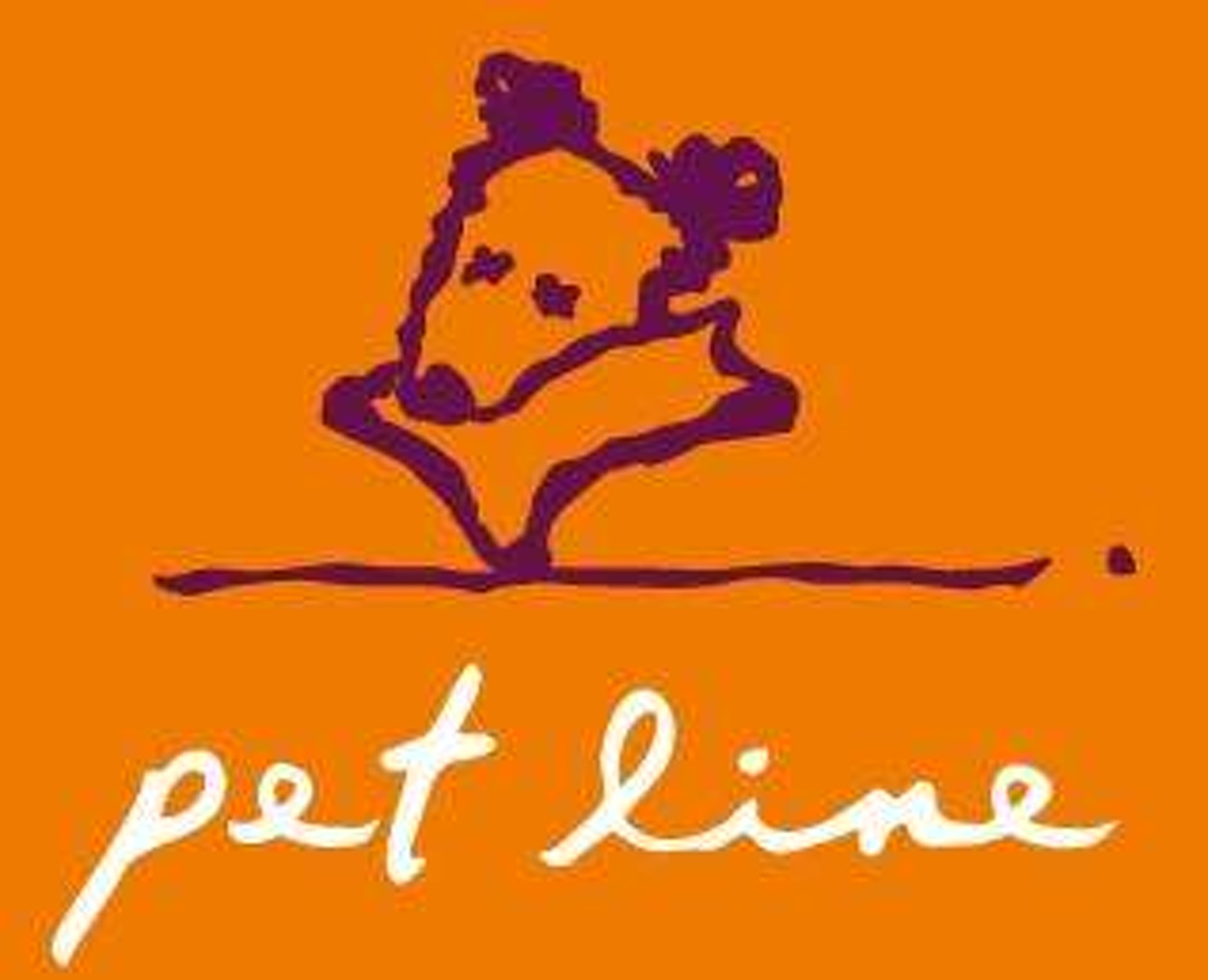 Pet Line 裡的店員為學生們介紹貓的日常用品 - 如食糧, 貓砂, 玩具等等。 學生在店裡四處探索一些適合建造貓 屋的物料及貓屋內應有的物品。（德萃小學圖片）