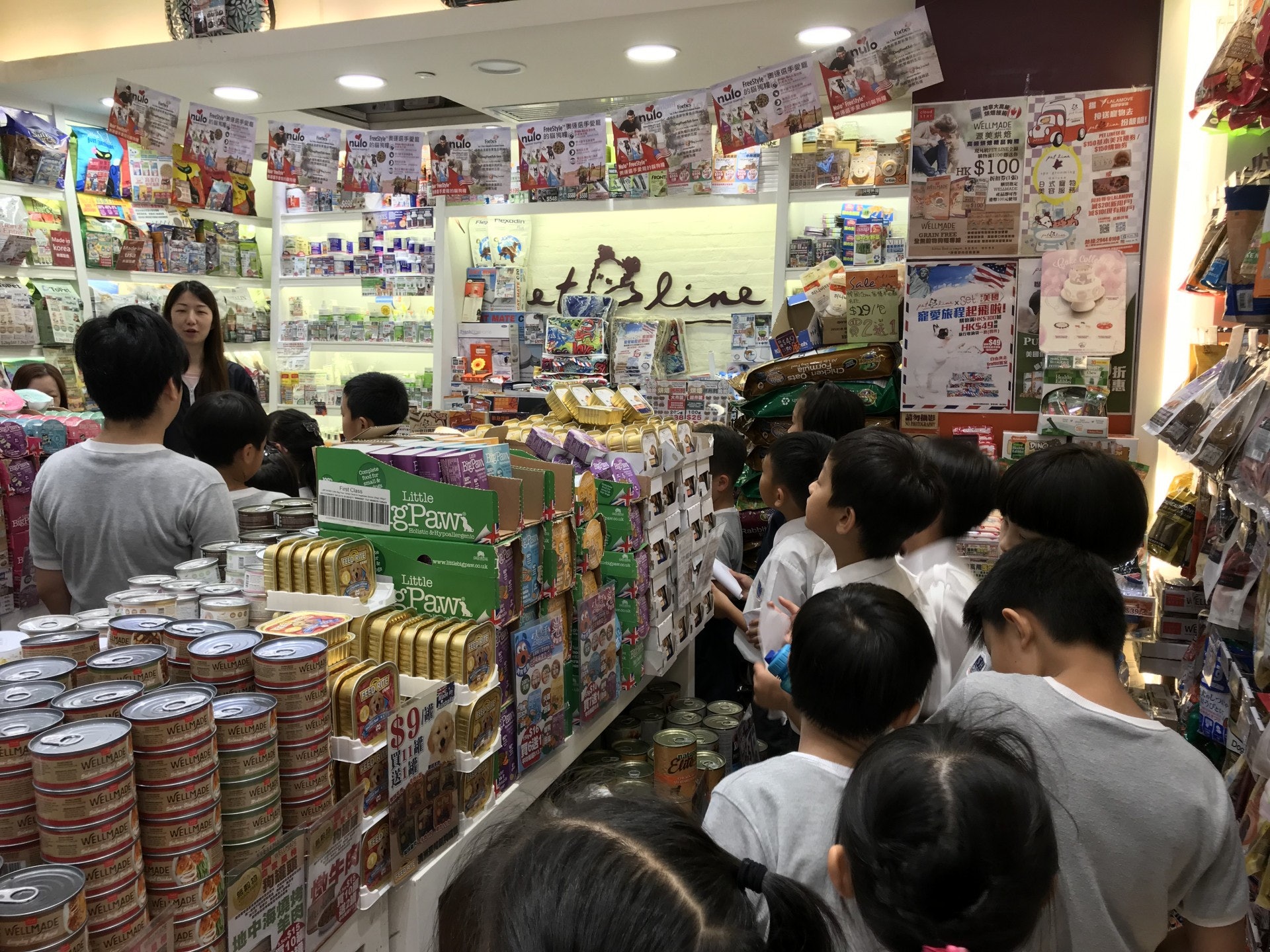 Pet Line 裡的店員為學生們介紹貓的日常用品 - 如食糧, 貓砂, 玩具等等。 學生在店裡四處探索一些適合建造貓 屋的物料及貓屋內應有的物品。(德萃小學圖片) Pet Line 裡的店員為學生們介紹貓的日常用品 - 如食糧, 貓砂, 玩具等等。 學生在店裡四處探索一些適合建造貓 屋的物料及貓屋內應有的物品。(德萃小學圖片)