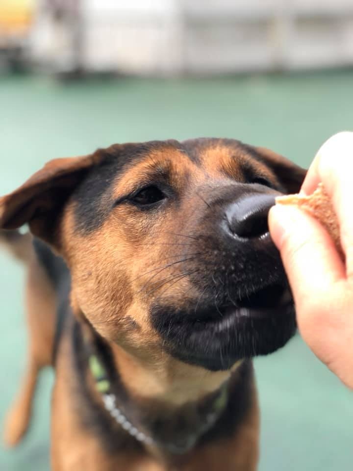 Sun超級為食。(受訪者提供) Sun超級為食。(受訪者提供)