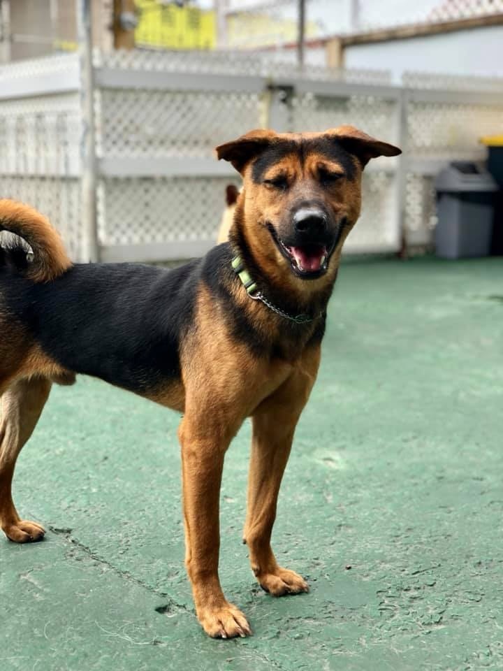 為食Sun。(受訪者提供) 為食Sun。(受訪者提供)