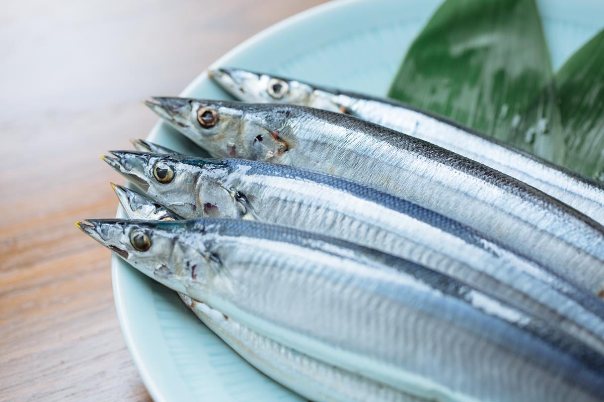 秋滋味 肥美秋刀魚仙鳳趾生蠔北海道直送一口油香 香港01 教煮